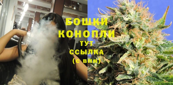 стаф Аркадак