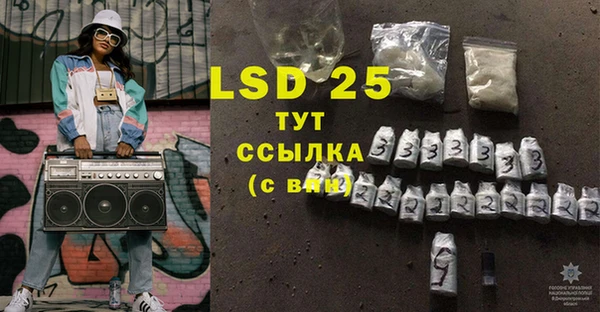 стаф Аркадак