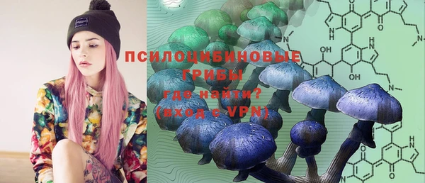 стаф Аркадак